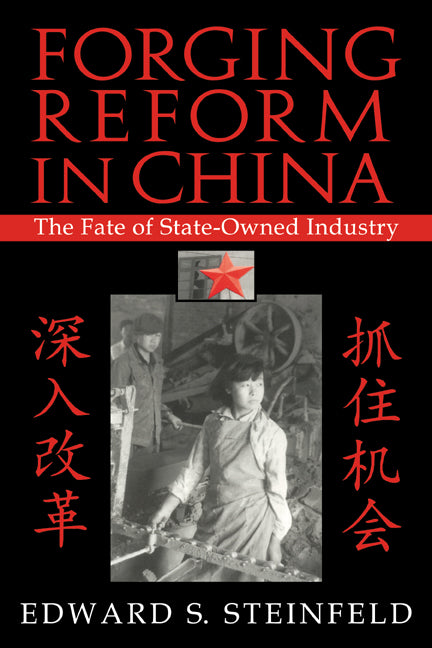 Forging Reform in China; The Fate of State-Owned Industry (Paperback) 9780521778619
