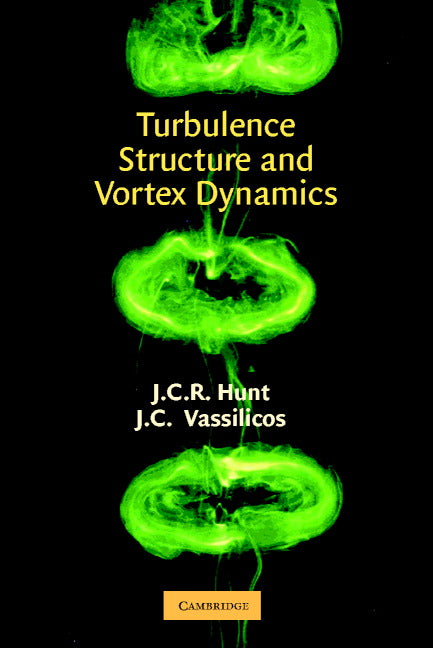 Turbulence Structure and Vortex Dynamics (Hardback) 9780521781312