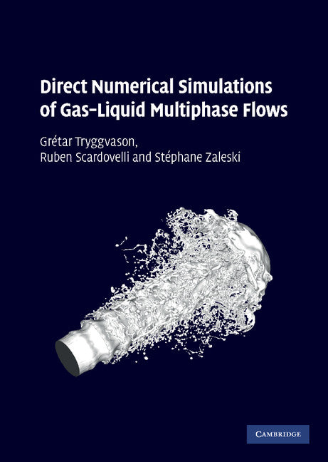 Direct Numerical Simulations of Gas–Liquid Multiphase Flows (Hardback) 9780521782401