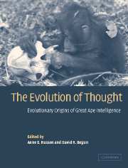 The Evolution of Thought; Evolutionary Origins of Great Ape Intelligence (Paperback / softback) 9780521039925