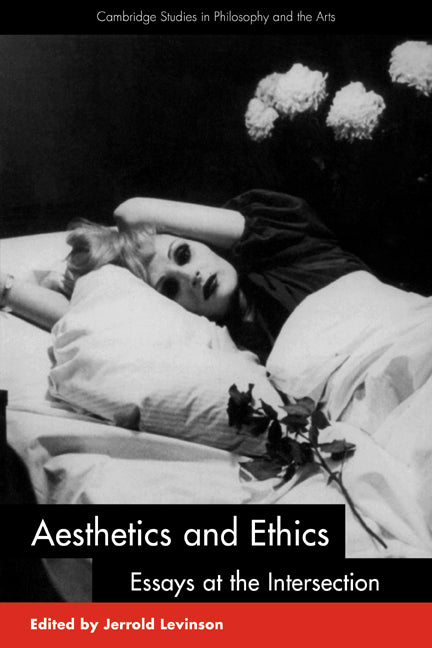 Aesthetics and Ethics; Essays at the Intersection (Paperback) 9780521788052