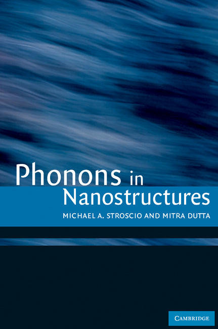 Phonons in Nanostructures (Hardback) 9780521792790