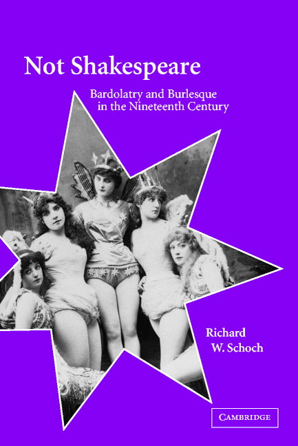 Not Shakespeare; Bardolatry and Burlesque in the Nineteenth Century (Hardback) 9780521800150