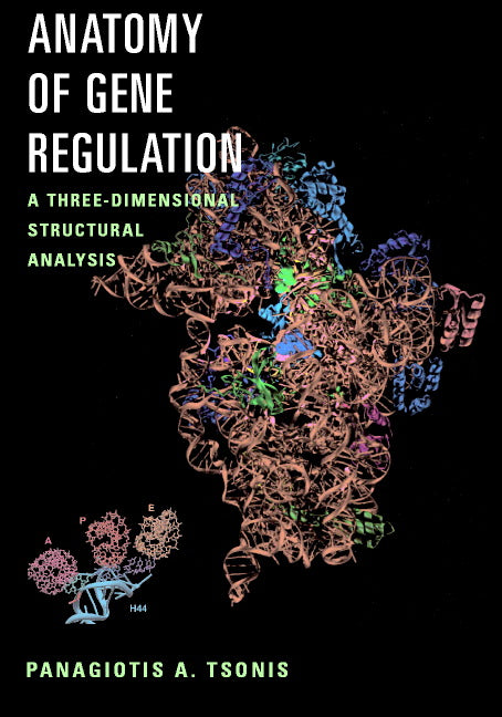 Anatomy of Gene Regulation; A Three-Dimensional Structural Analysis (Hardback) 9780521800303