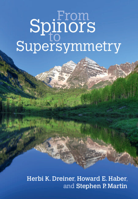 From Spinors to Supersymmetry (Hardback) 9780521800884