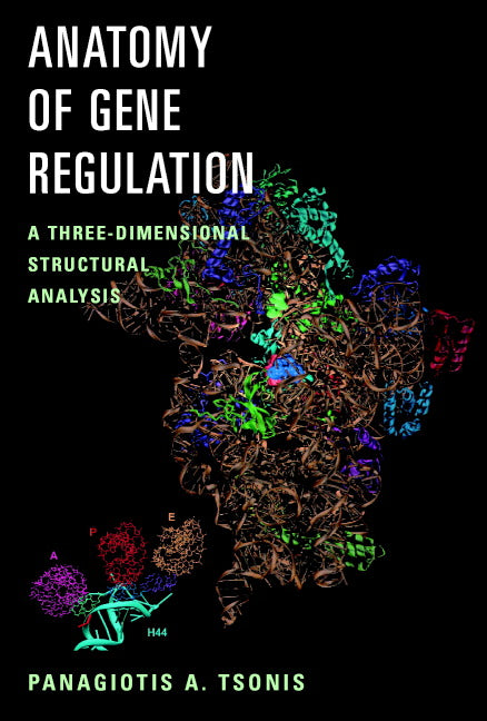 Anatomy of Gene Regulation; A Three-Dimensional Structural Analysis (Paperback) 9780521804745