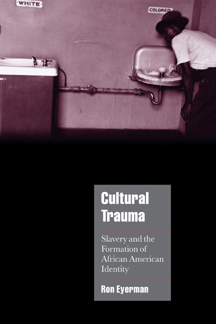 Cultural Trauma; Slavery and the Formation of African American Identity (Hardback) 9780521808286