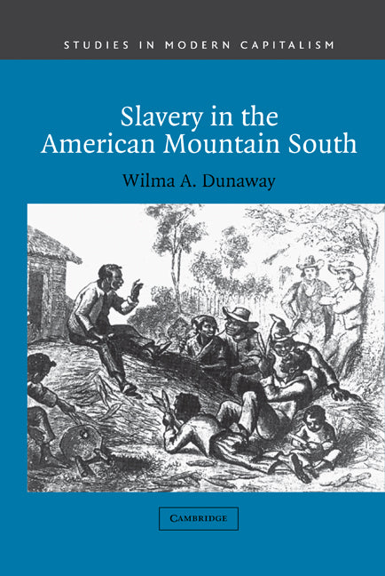 Slavery in the American Mountain South (Hardback) 9780521812757