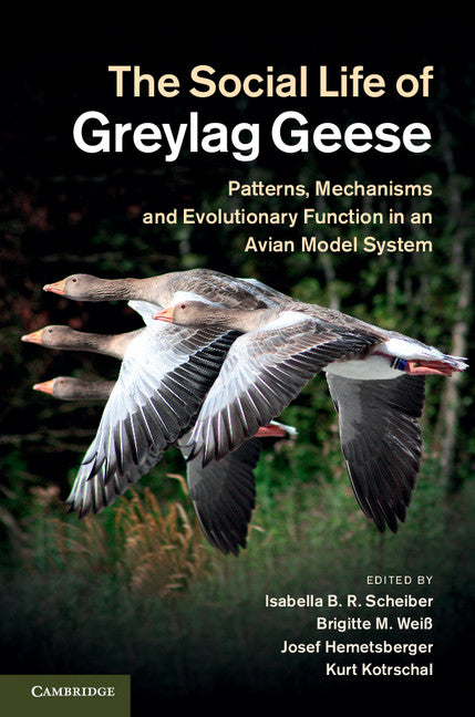 The Social Life of Greylag Geese; Patterns, Mechanisms and Evolutionary Function in an Avian Model System (Hardback) 9780521822701