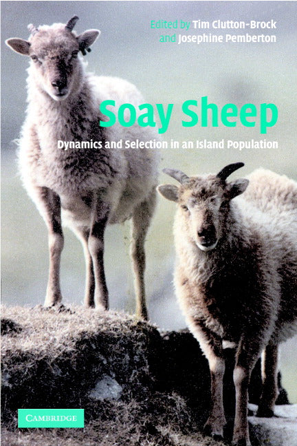 Soay Sheep; Dynamics and Selection in an Island Population (Hardback) 9780521823005