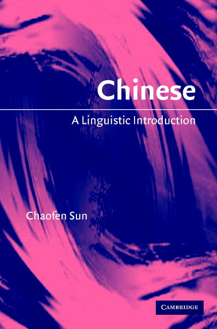 Chinese; A Linguistic Introduction (Hardback) 9780521823807