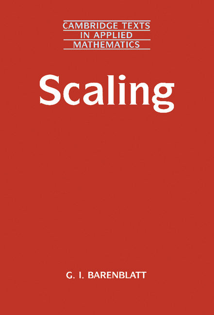 Scaling (Hardback) 9780521826570