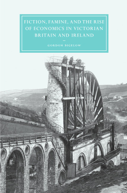 Fiction, Famine, and the Rise of Economics in Victorian Britain and Ireland (Hardback) 9780521828482