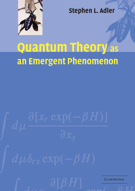 Quantum Theory as an Emergent Phenomenon; The Statistical Mechanics of Matrix Models as the Precursor of Quantum Field Theory (Hardback) 9780521831949