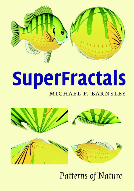 SuperFractals (Hardback) 9780521844932