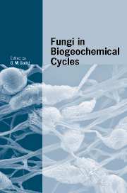 Fungi in Biogeochemical Cycles (Paperback / softback) 9781107403215