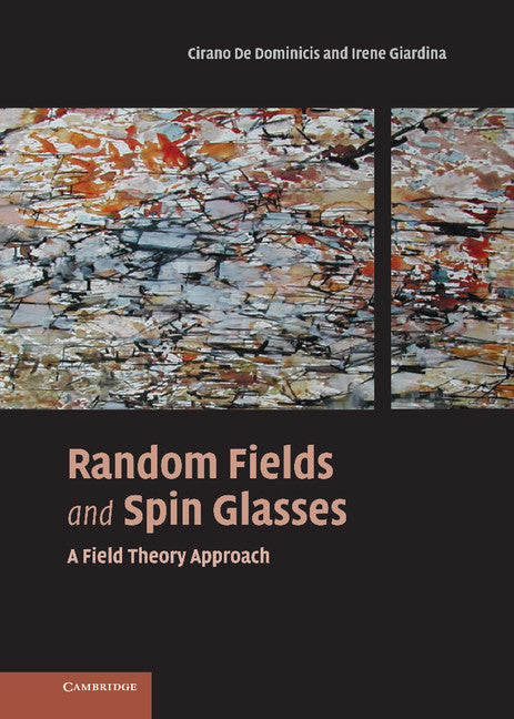 Random Fields and Spin Glasses; A Field Theory Approach (Hardback) 9780521847834