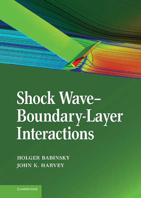 Shock Wave-Boundary-Layer Interactions (Hardback) 9780521848527