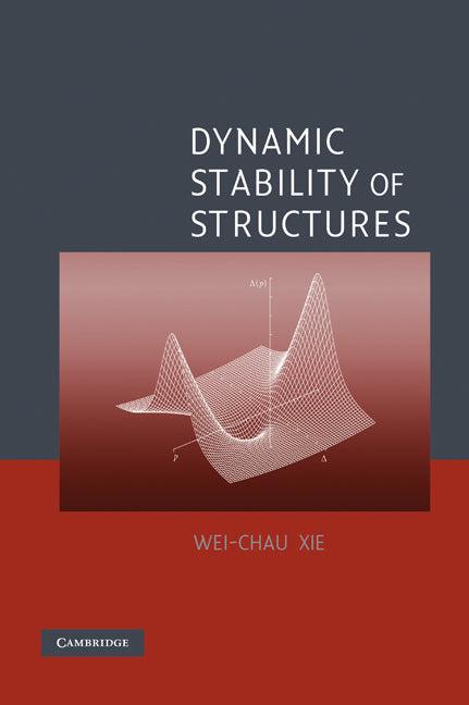 Dynamic Stability of Structures (Hardback) 9780521852661