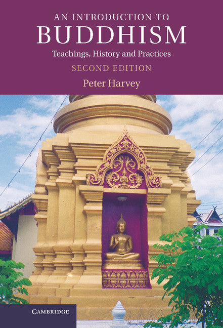 An Introduction to Buddhism; Teachings, History and Practices (Hardback) 9780521859424