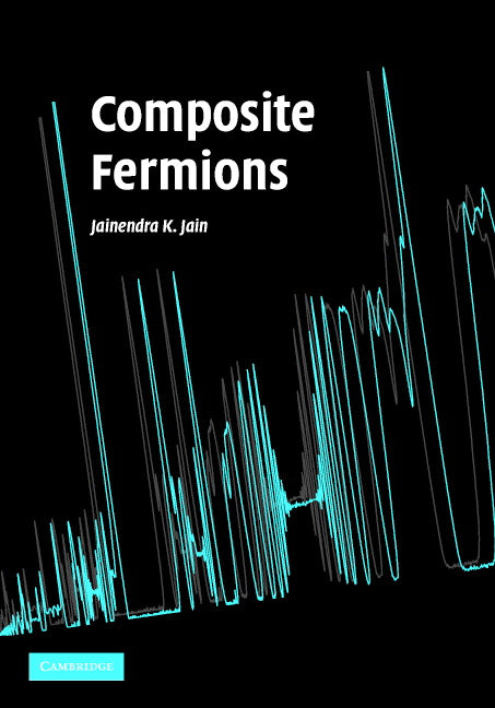 Composite Fermions (Hardback) 9780521862325