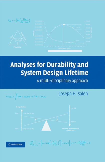 Analyses for Durability and System Design Lifetime; A Multidisciplinary Approach (Hardback) 9780521867894