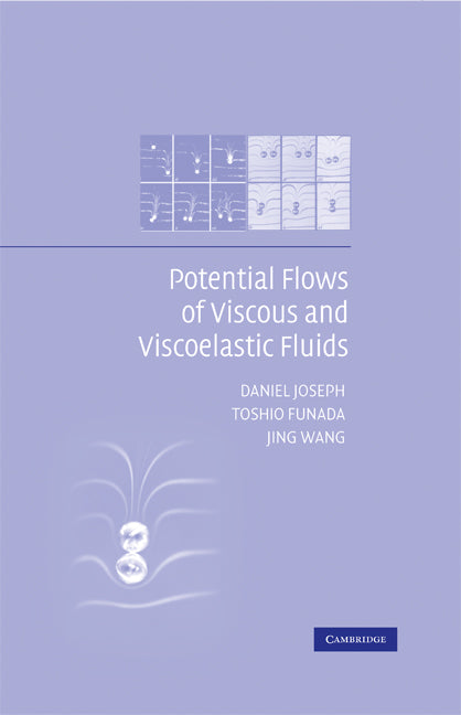 Potential Flows of Viscous and Viscoelastic Liquids (Hardback) 9780521873376