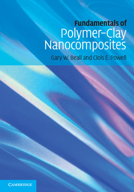 Fundamentals of Polymer-Clay Nanocomposites (Hardback) 9780521876438
