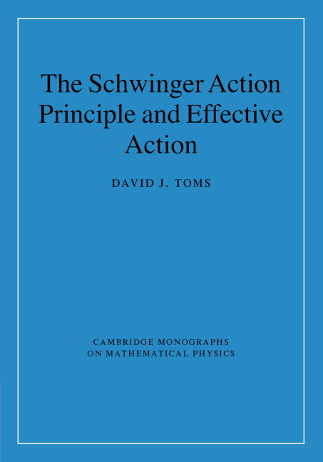 The Schwinger Action Principle and Effective Action (Hardback) 9780521876766