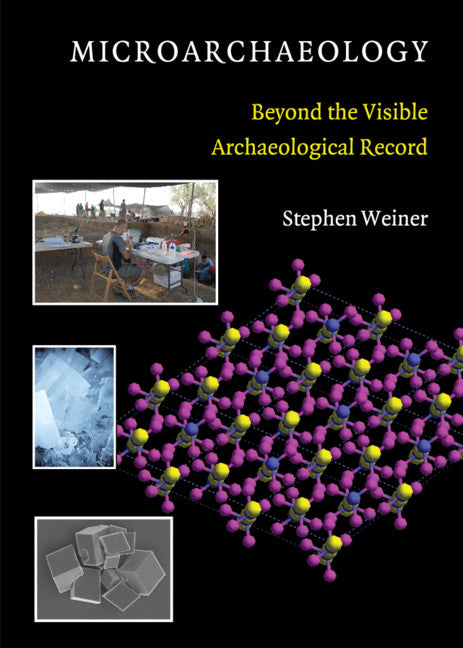 Microarchaeology; Beyond the Visible Archaeological Record (Hardback) 9780521880039