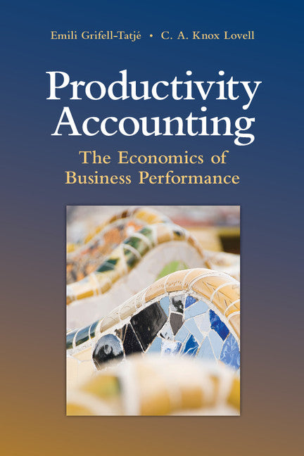 Productivity Accounting; The Economics of Business Performance (Hardback) 9780521883535