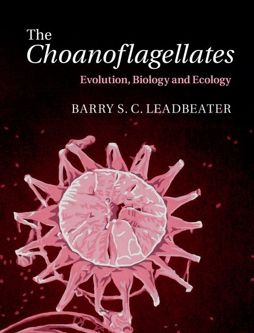 The Choanoflagellates; Evolution, Biology and Ecology (Hardback) 9780521884440