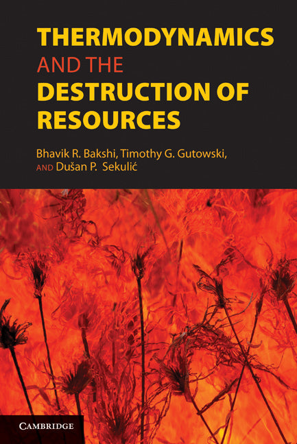 Thermodynamics and the Destruction of Resources (Hardback) 9780521884556