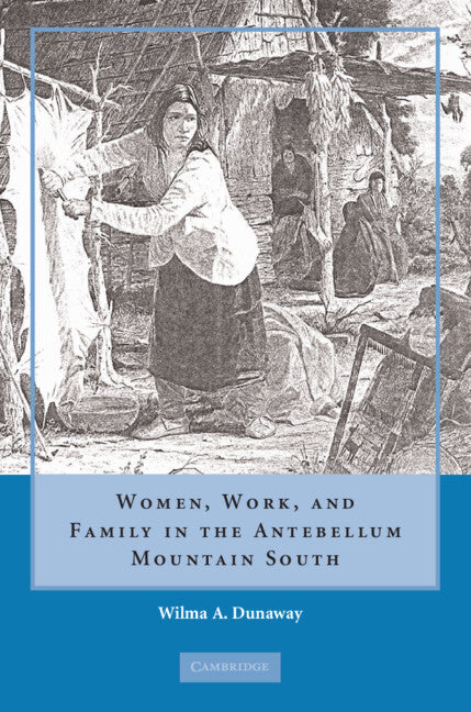 Women, Work and Family in the Antebellum Mountain South (Hardback) 9780521886192