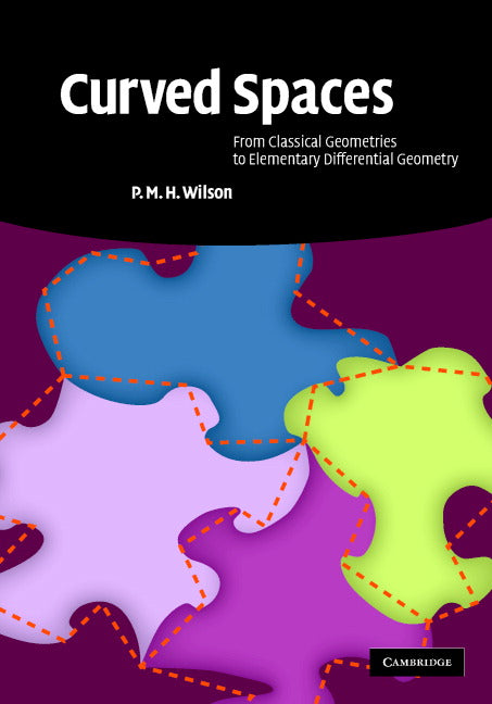 Curved Spaces; From Classical Geometries to Elementary Differential Geometry (Hardback) 9780521886291