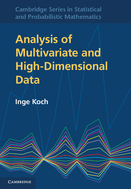 Analysis of Multivariate and High-Dimensional Data (Hardback) 9780521887939