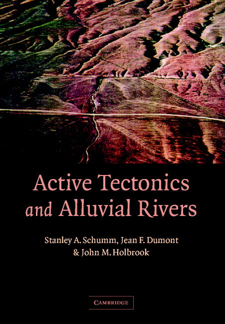 Active Tectonics and Alluvial Rivers (Paperback) 9780521890588