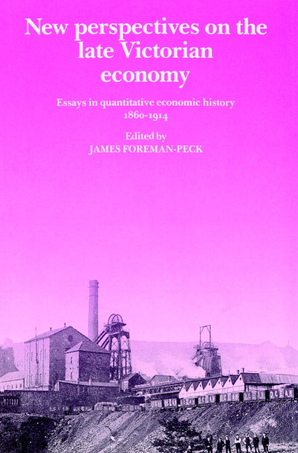 New Perspectives on the Late Victorian Economy; Essays in Quantitative Economic History, 1860–1914 (Paperback) 9780521890854