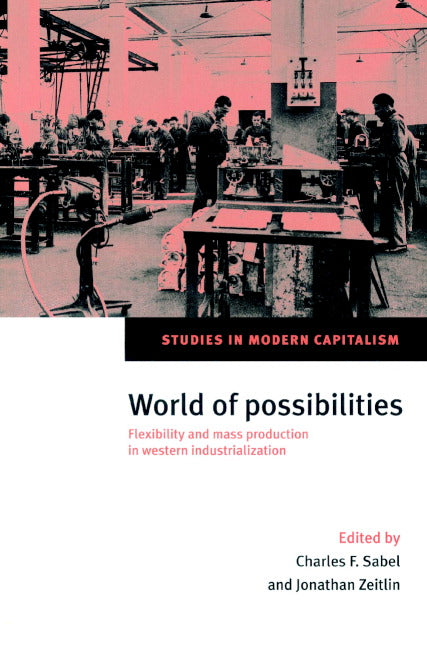 World of Possibilities; Flexibility and Mass Production in Western Industrialization (Paperback) 9780521894432