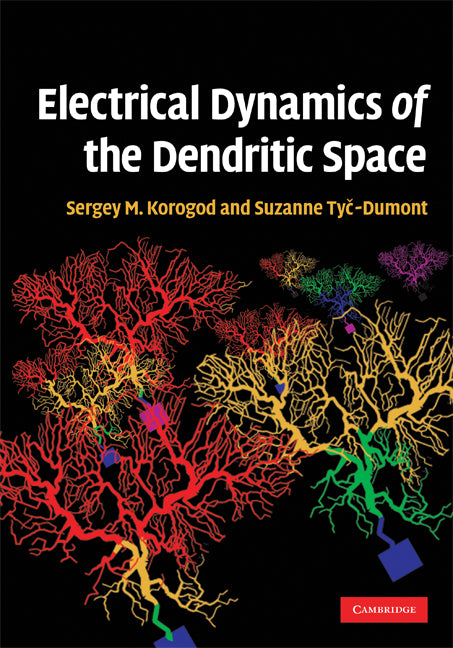 Electrical Dynamics of the Dendritic Space (Hardback) 9780521896771