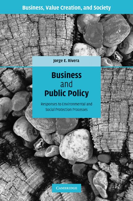 Business and Public Policy; Responses to Environmental and Social Protection Processes (Hardback) 9780521897815