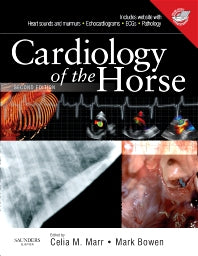 Cardiology of the Horse (Hardback) 9780702028175