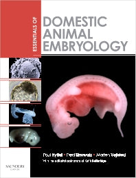 Essentials of Domestic Animal Embryology (Paperback) 9780702028991