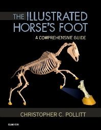 The Illustrated Horse's Foot; A comprehensive guide (Hardback) 9780702046551