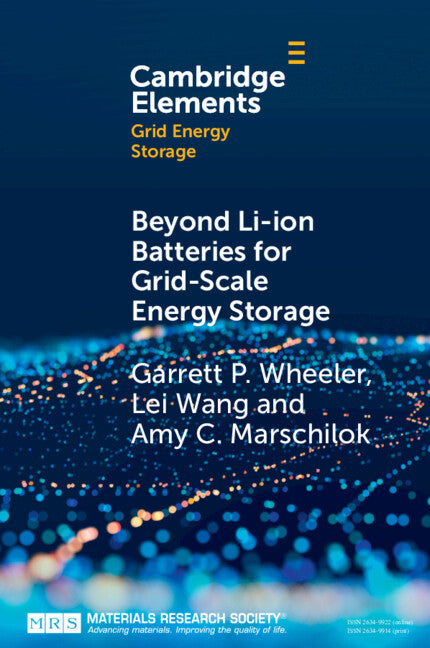 Beyond Li-ion Batteries for Grid-Scale Energy Storage (Paperback / softback) 9781009015707