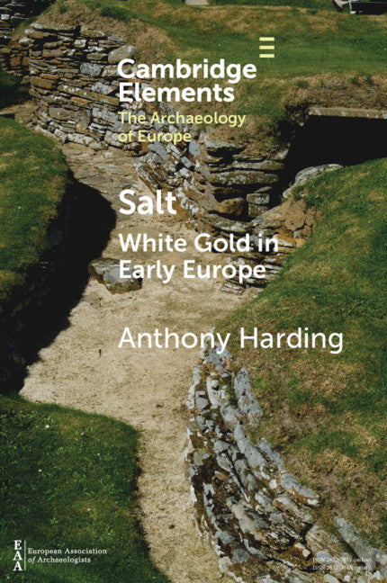 Salt; White Gold in Early Europe (Paperback / softback) 9781009017640