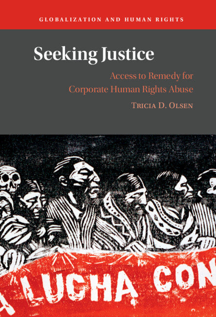 Seeking Justice; Access to Remedy for Corporate Human Rights Abuse (Hardback) 9781009293242