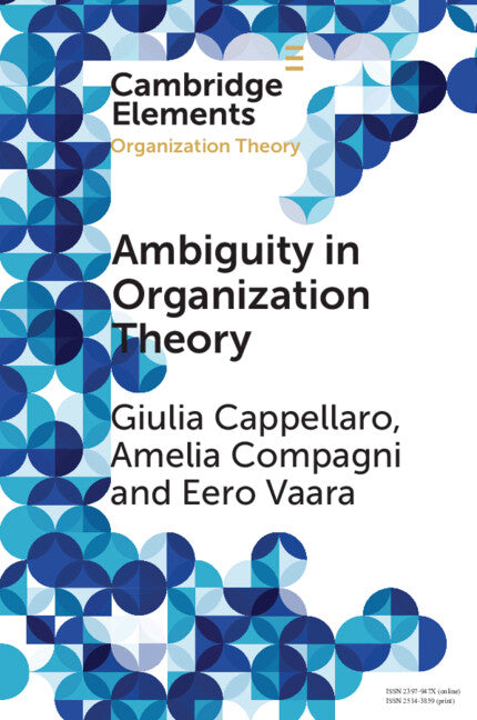 Ambiguity in Organization Theory; From Intrinsic to Strategic Perspectives (Paperback) 9781009358439