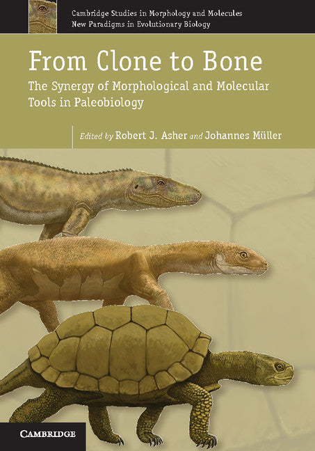 From Clone to Bone; The Synergy of Morphological and Molecular Tools in Palaeobiology (Hardback) 9781107003262