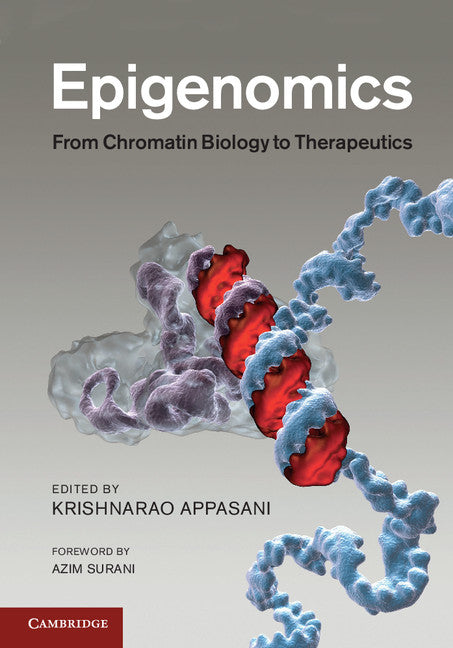 Epigenomics; From Chromatin Biology to Therapeutics (Hardback) 9781107003828